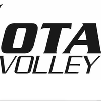 OTA VOLLEY D2